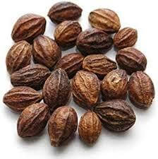 Harithaki Terminalia chebula