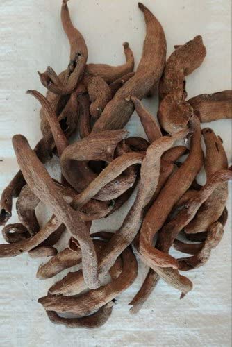 Karkata Shringi