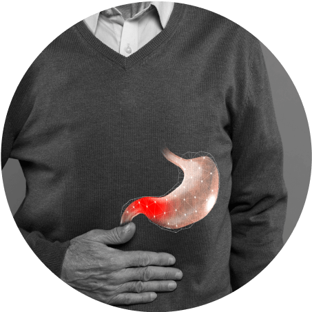 Liver Wellness
