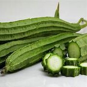 Patola