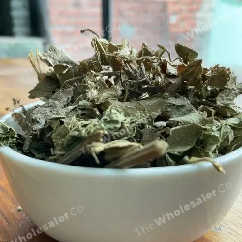 Patra