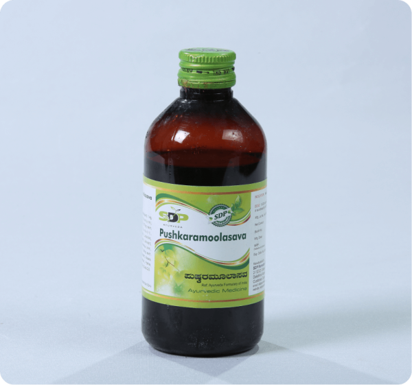 Pushkaramoolasava