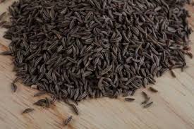 Vanajeeraka