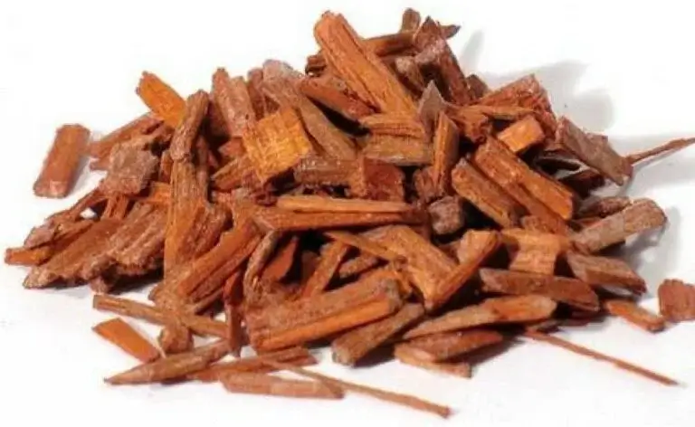 khadira